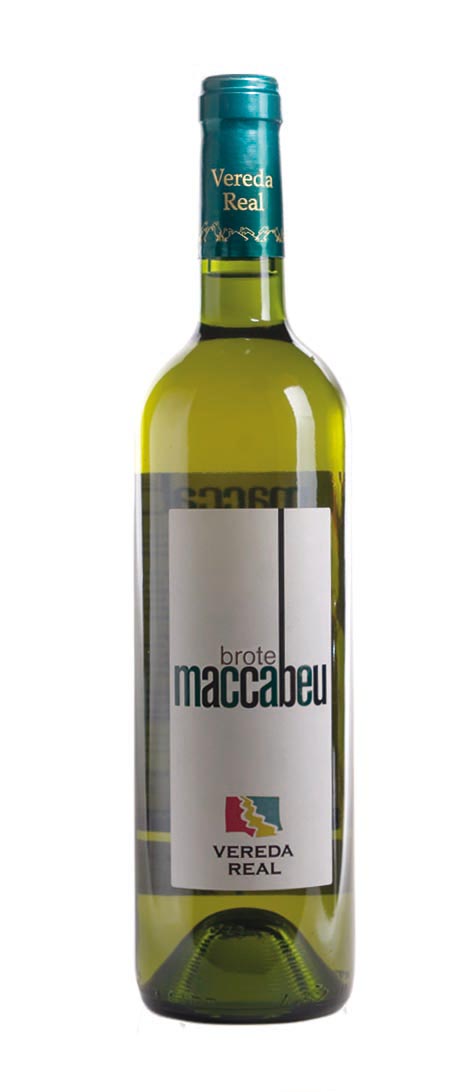 Maccabeu brote